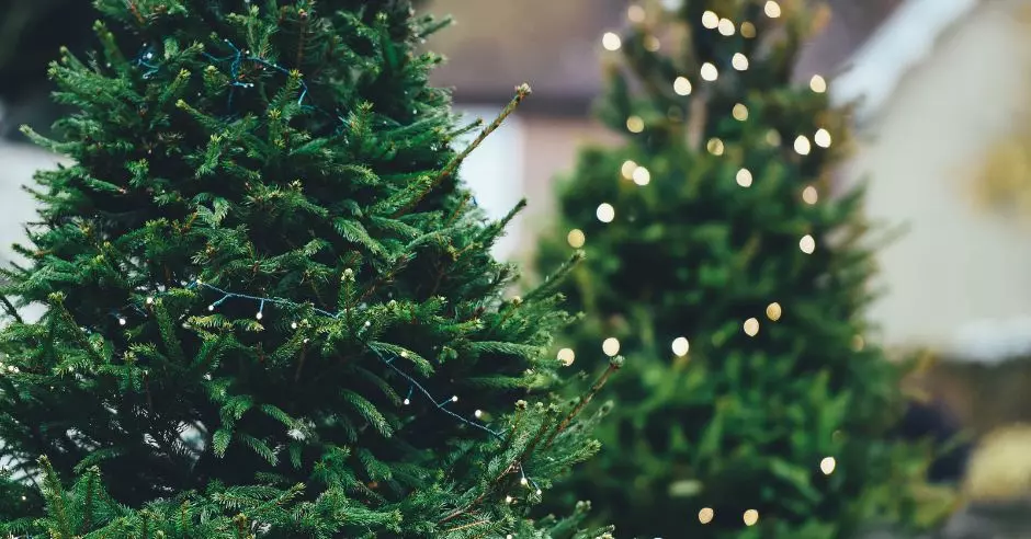Kültéri karácsonyi világítás – mit kell tudnod?