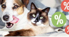 Zooplus Akár - 57 % kedvezmény kutya és macska felszerelésekre a Zooplus.hu oldalon