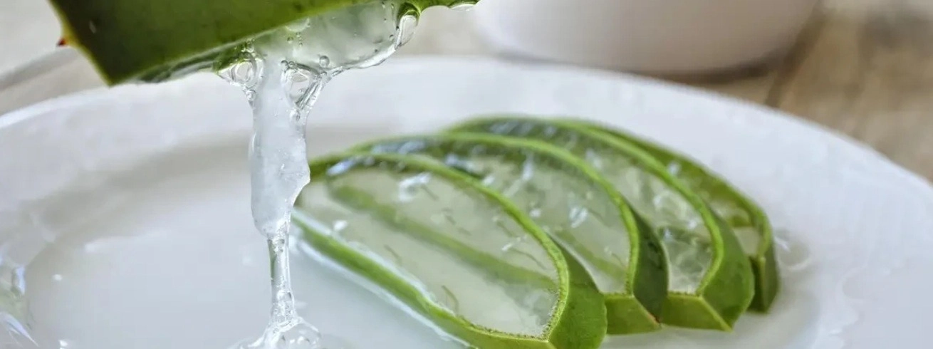 Aloe vera és annak belső része