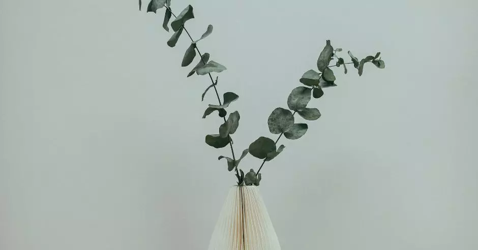 eukaliptusz-vaza