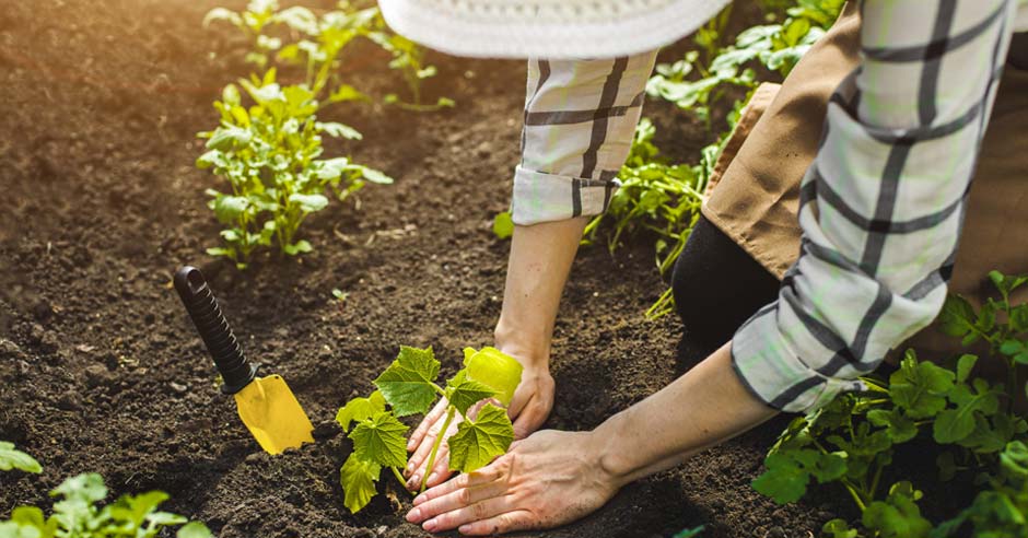 ferfi-ultet-a-kertbe